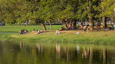 O Que Fazer No Parque Ibirapuera Atra Es