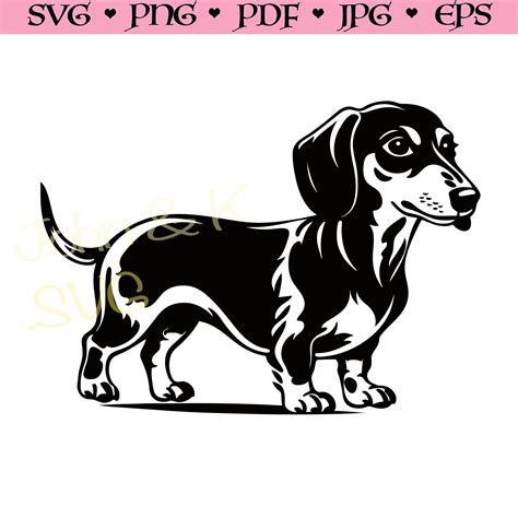 Cute Dachshund Svg Puppy Cutfile Cricut Silhouette Dachshund Dog