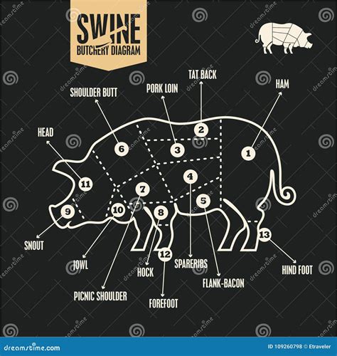 Pork Cuts Swine Butchery Diagram Barbecue Pork Meat Cuts Stock