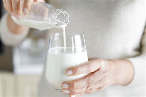 quarts   liter  comprehensive guide