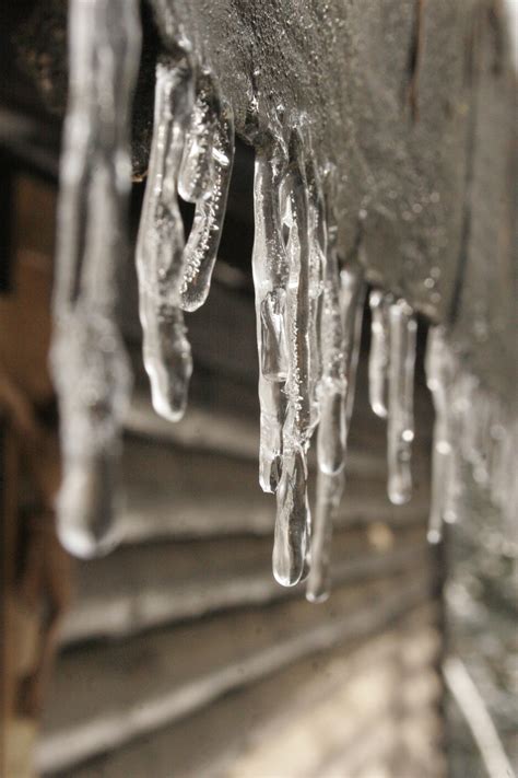 картинки : снег, холодно, зима, дерево, белый, образование, Лед ...