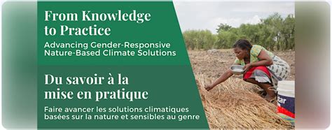 Faire Avancer Les Solutions Climatiques Bas Es Sur La Nature Et