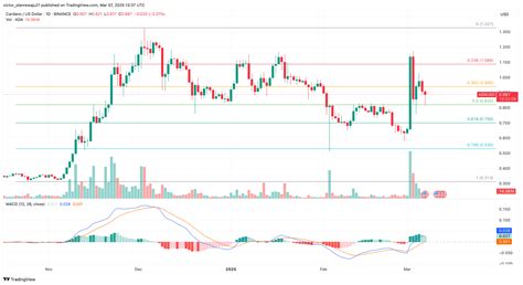 Behind RRSpin's Demise: An In-Depth Analysis of Power, Greed, and Fame 7