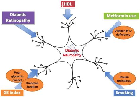 Risk Factors For Diabetic Neuropathy Dn Risk Factors Associated With