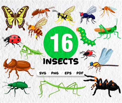 Insects Svginsects Clipart Collections Svg Insects Svg Bundle Bug