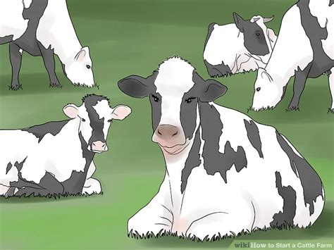 How To Start A Cattle Farm With Pictures Artofit