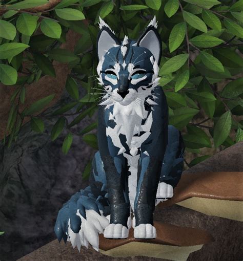 Wcue Morph In 2023 Warrior Cats Warrior Cat Drawings Warrior Cat Oc