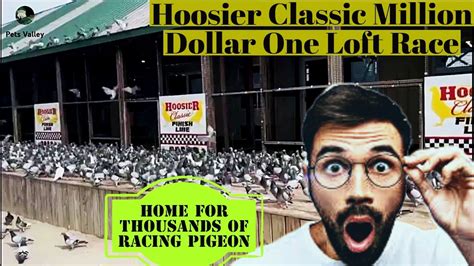 Hoosier Classic Million Dollar One Loft Race Home Of Thousands Of