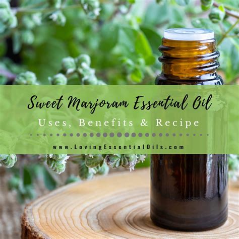 Essential Oil Tips And Uses For Natural Health