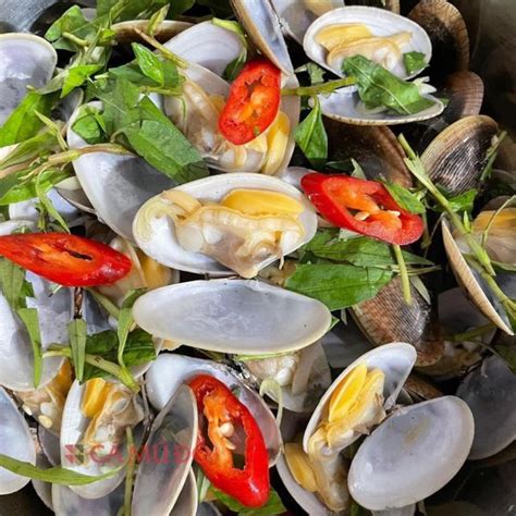 tong hop  mon ngao hoa hap sieu hap