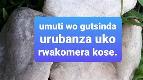 Niba Ufite Urubanza Dore Umuti Uzatuma Urutsinda Cg Hari Umuntu