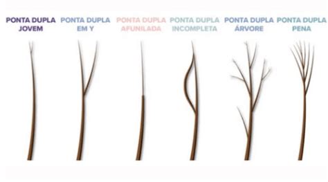 O Que Causa Pontas Duplas No Cabelo - Pontas duplas no cabelo: porque acontece e como evitar