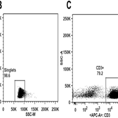 Analysis Of T Lymphocytes From Peripheral Blood By Flow Cytometry