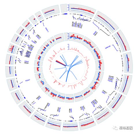 Figdraw 15 Sci 文章绘图之多组学圈图omiccircos 知乎