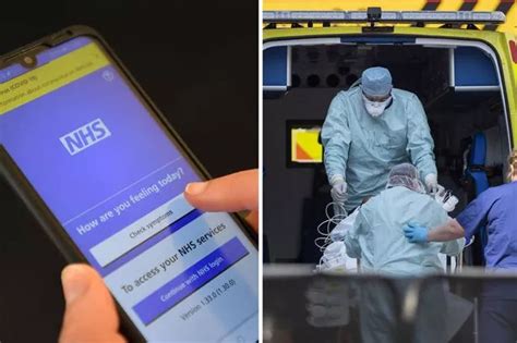 Felice Herrig Naked Moment UFC 229 Star Drops Towel At Weigh In Daily Star