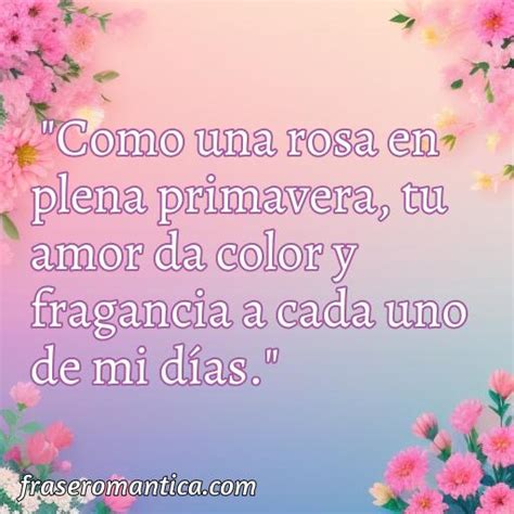 Mejores Frases De Amor Con Rosa Frase Romantica