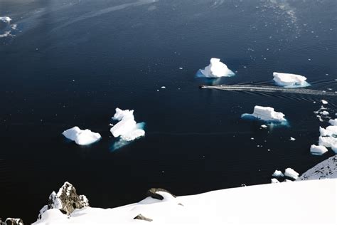 Voyage En Antarctique D Couvrir Les Tr Sors Des Les Orcades Du Sud