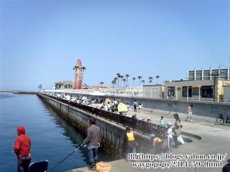 和歌山マリーナシティ海釣り公園と大波止の釣り場とポイント初心者におすすめ、青物、タチウオ、アジ す〜さんの釣行記＆釣り情報・時々aqua