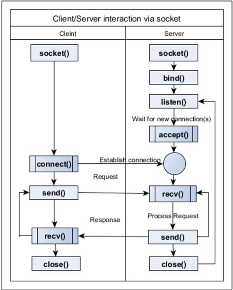 Python Socket How To Connect Tcp Client To Server Codeloop