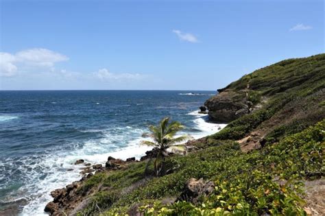 Les Plus Belles R Serves Naturelles Explorer En Martinique