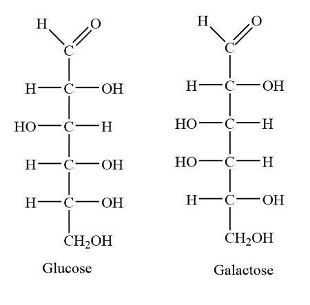 Glucose and galactose have the same chemical formula with different ...