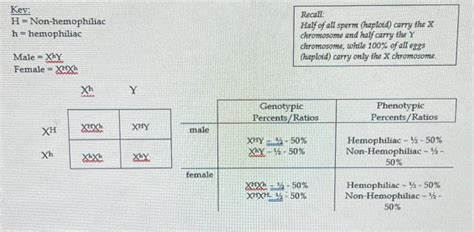 Solved Sex Linked Practice Problems 1 In Humans