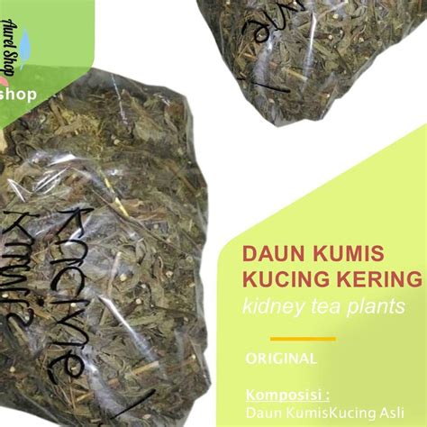 Jual Daun Kumis Kucing Kering 1 Kg Remujung Java Tea Kidney Tea Plants