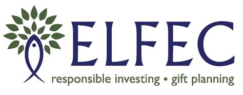 Elfec Responsible Investment Association