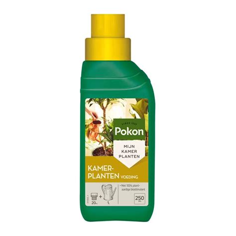 Pokon Kamerplanten Voeding 250ml Groencentrum Witmarsum