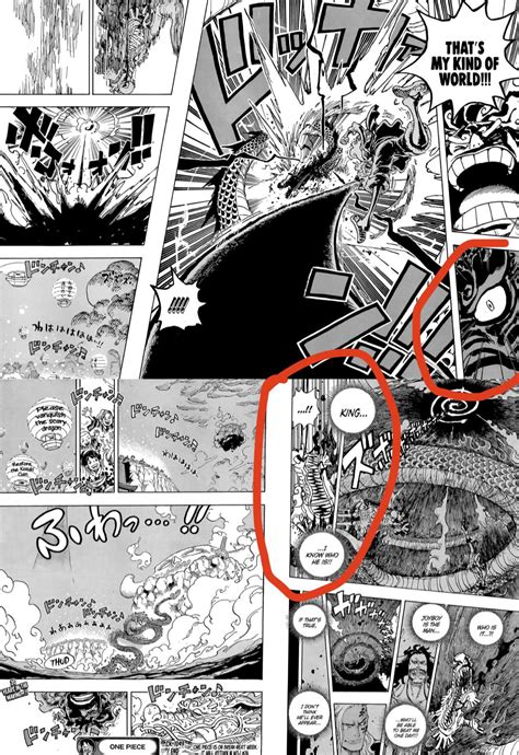 Kaido Realizes Luffy is JoyBoy? : r/WildAnimeTheories