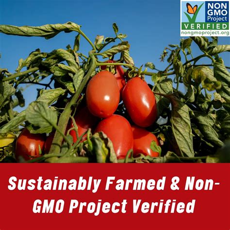 Mutti Whole Peeled San Marzano Tomatoes 14 oz | 6 Pack | Authentic