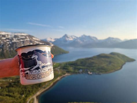 Enamel Cup With Husky And Northern Lights Design Gifts Souvenirs