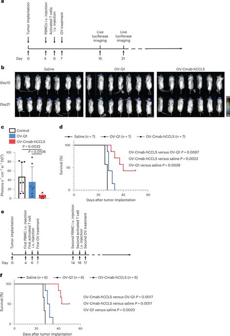 Ov Cmab Hccl5 Improves Oncolytic Virotherapy In A Xenograft Gbm Animal