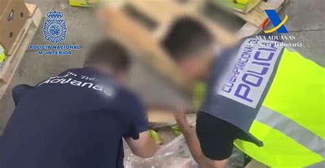 Saisie record en Espagne 9 5 tonnes de cocaïne à Algésiras Mer et