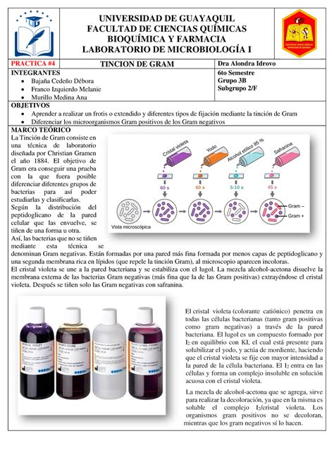 Informe 4 Tincion De Gram Universidad De Guayaquil Facultad De Ciencias QuÍmicas BioquÍmica Y