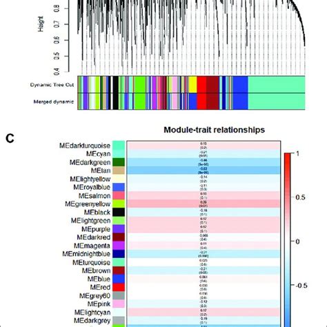 | The gene modules are identified by weighted gene coexpression network ... 