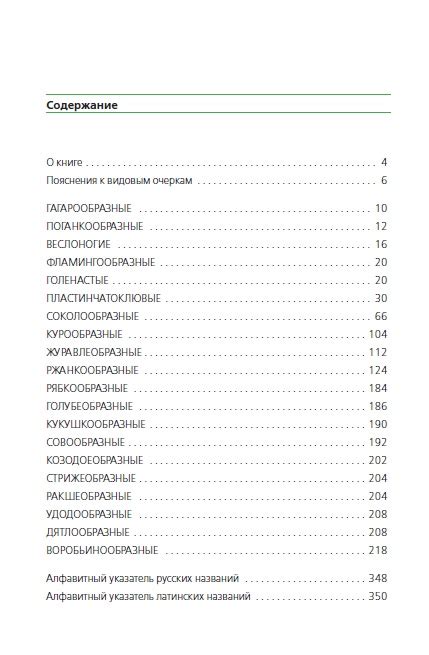 Птицы Москвы и Подмосковья: Полный определитель | Фитон XXI