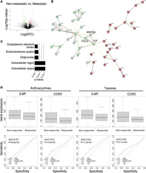 Jci Insight A Hybrid Breast Cancer Mesenchymal Stem Cell Population