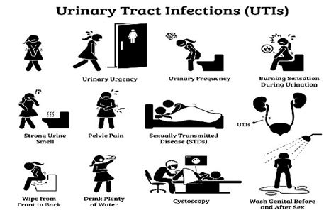 Urinary Tract Infection After Sex Causes And Prevention Measures