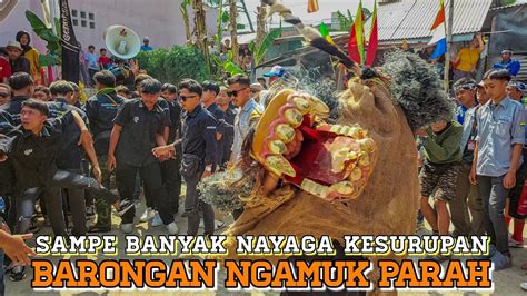 Baru Mulai Barongan Langsung Ngamuk Sampe Banyak Nayaga Kesurupan