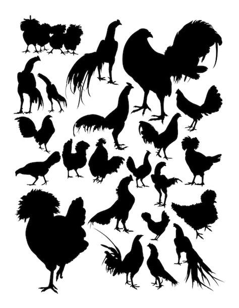 Premium Vector Chicken Silhouette