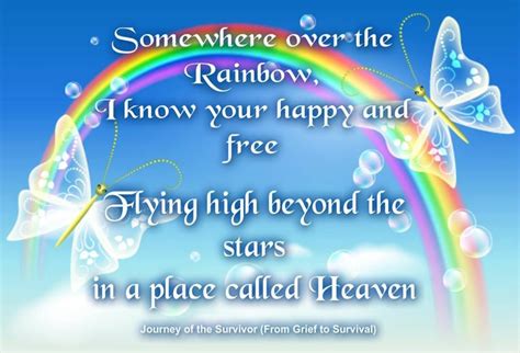 Pin By Elena Swinney On Pawprints On My Heart ♥ A Place Called Heaven