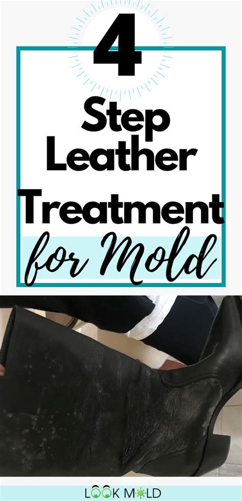 How To Clean Mold Off Leather In Four Easy Steps Homemade Cleaning