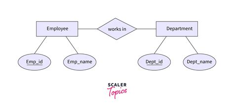 What Is The Difference Between Strong And Weak Entity In Dbms Scaler