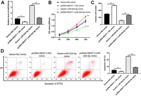 Long Noncoding RNA NEAT1 Inhibits The Acetylation Of PTEN Through The