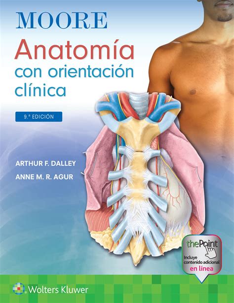 Moore Anatomía Con Orientación Clínica En Laleo