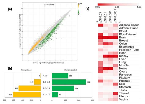 Dna Microarray Based Global Gene Expression Profiling In Human Amniotic