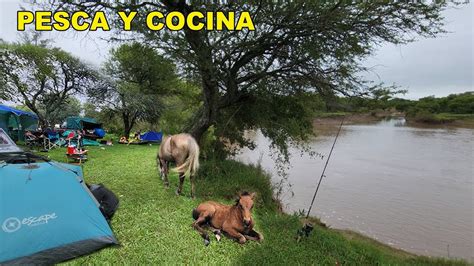 Campamento De Pesca Y Cocina Pescado Frito Muchos Peces En Arroyito