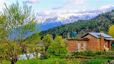 Food Of Himachal Pradesh A Guide To Must Eat Dishes