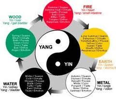 traditional chinese medicine tcm wiki